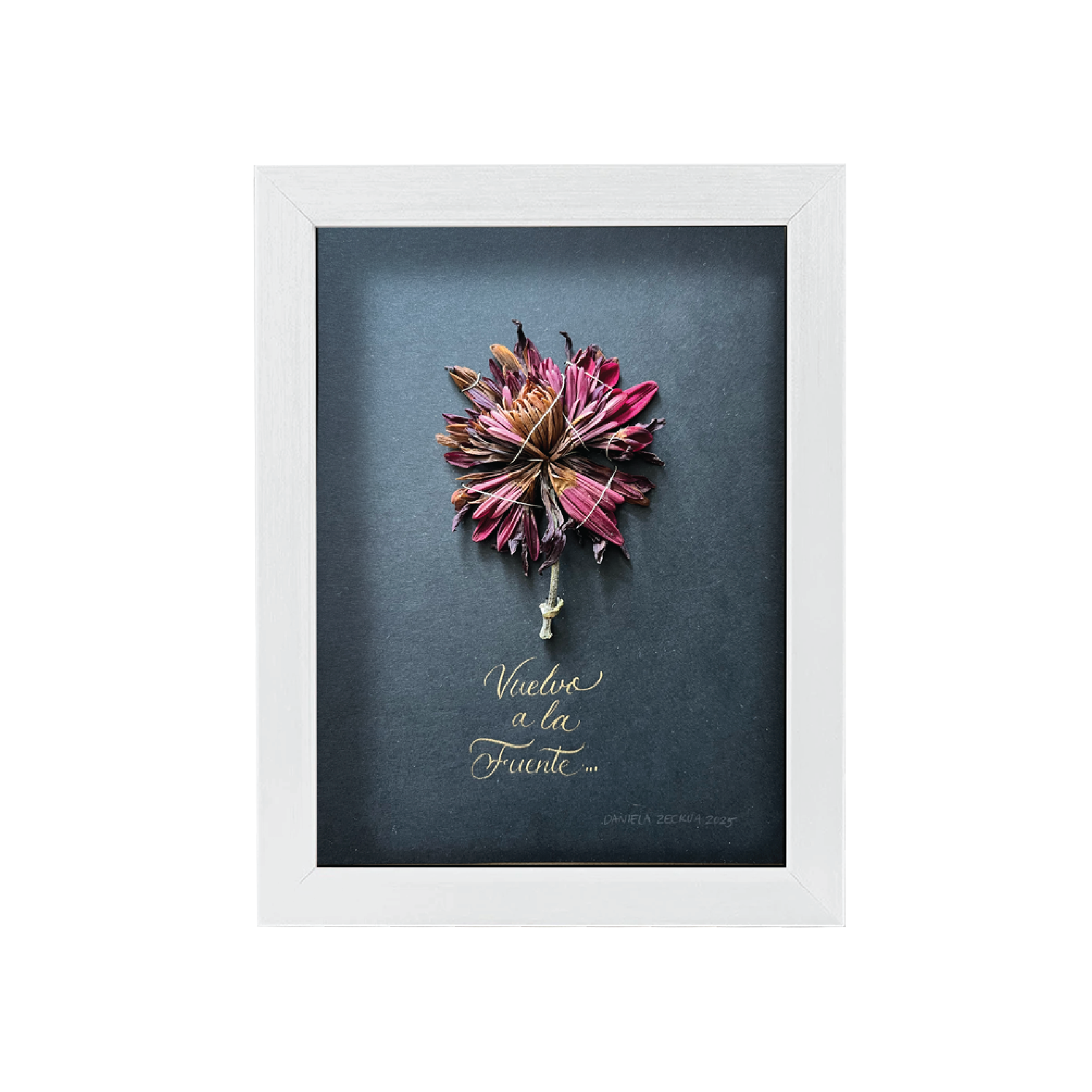 song, letra, Boonker, lettering, caligrafía, musica, Mexico, Proart, diseño, arte, art, galeria